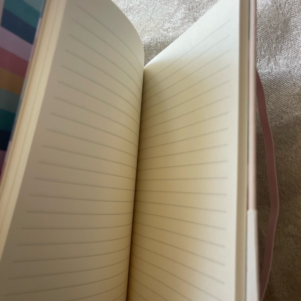 Carpe Diem Ballerina Pink Soft Cover Journal - Picture 2 of 5